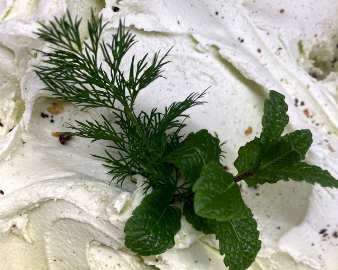 Fiore di Latte – prodotti artigianali a GO Makers Gorizia 2026 Fiore di Latte – food artigiano a GO Makers Gorizia