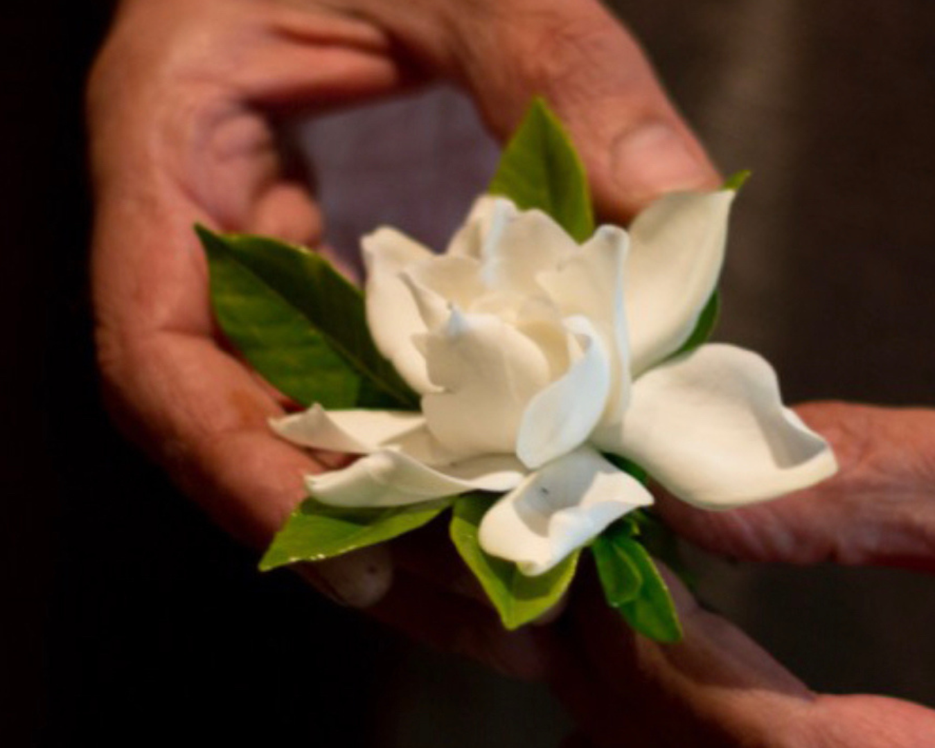 Romantico di Gianfranco Fontanel – prodotti artigianali a GO Makers Gorizia 2026 Romantico di Gianfranco Fontanel – floral-designer artigiano a GO Makers Gorizia
